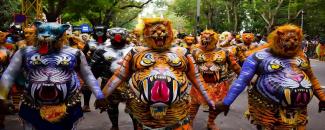 pulikali-image