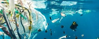 world-cleanup-day-image