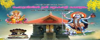 cheruvilil-sree-bhadrakali-temple-maholsavam-image