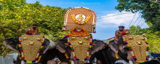 puthur-thirupuraikal-bhagavathy-temple-puthur-vela-image