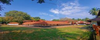 kollam-sree-pisharikkavu-devi-temple-thottam-ulsavam-image