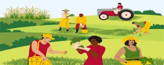 farmworker-appreciation-day-image