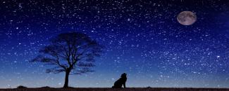 chant-at-the-moon-day-image