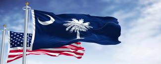 national-south-carolina-day-image